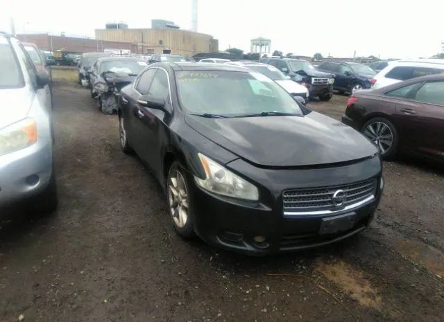 NISSAN MAXIMA 2011 1n4aa5apxbc831877