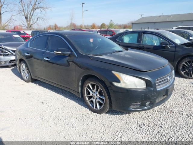 NISSAN MAXIMA 2011 1n4aa5apxbc846671