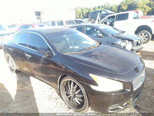 NISSAN MAXIMA 2011 1n4aa5apxbc847089