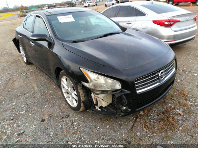 NISSAN MAXIMA 2011 1n4aa5apxbc852891