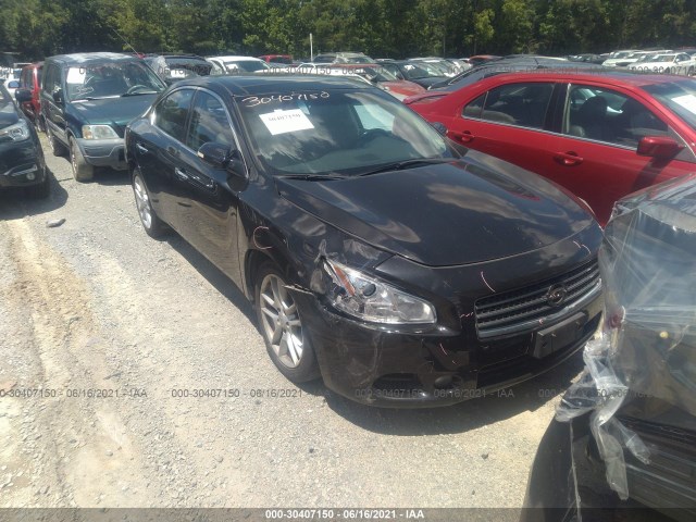 NISSAN MAXIMA 2011 1n4aa5apxbc856424