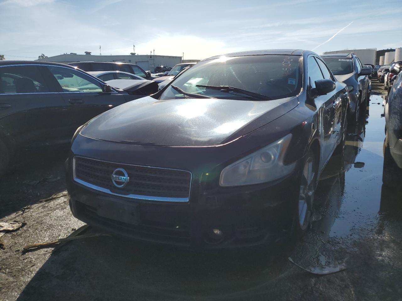 NISSAN MAXIMA 2013 1n4aa5apxdc815827