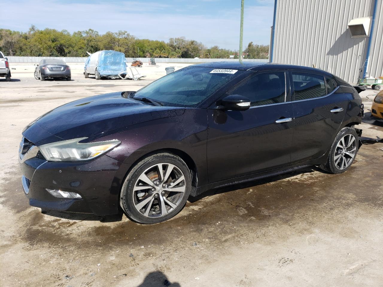 NISSAN MAXIMA 2016 1n4aa6ap0gc435616