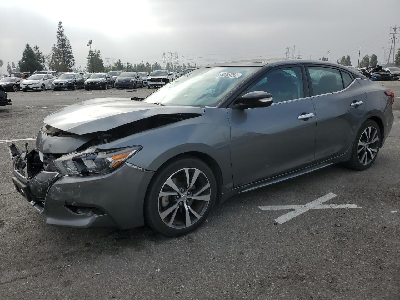 NISSAN MAXIMA 2017 1n4aa6ap0hc406991