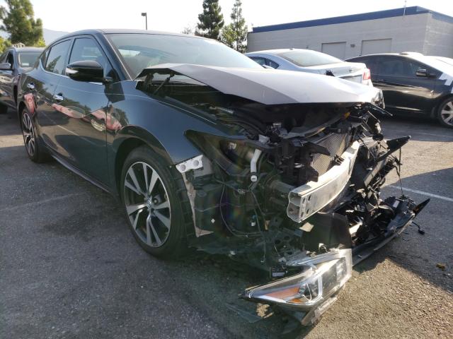 NISSAN MAXIMA 3.5 2017 1n4aa6ap0hc434614