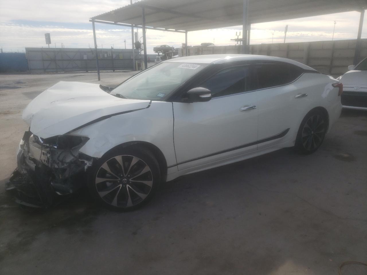 NISSAN MAXIMA 2016 1n4aa6ap1gc391769