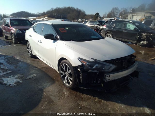 NISSAN MAXIMA 2016 1n4aa6ap1gc422924