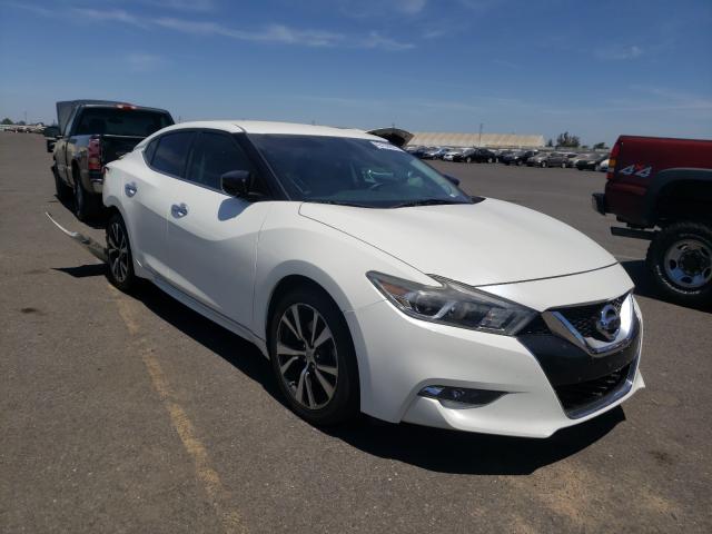 NISSAN MAXIMA 2016 1n4aa6ap1gc903241