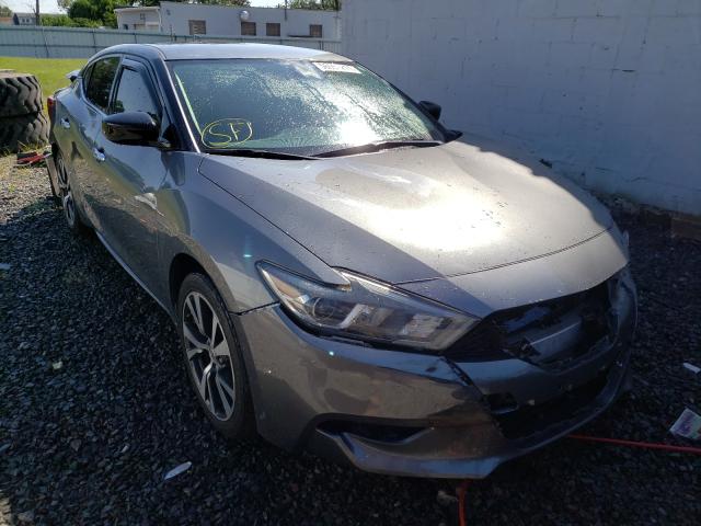 NISSAN MAXIMA 2017 1n4aa6ap1hc364461