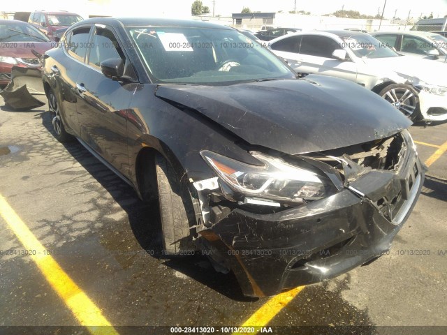 NISSAN MAXIMA 2017 1n4aa6ap1hc369465