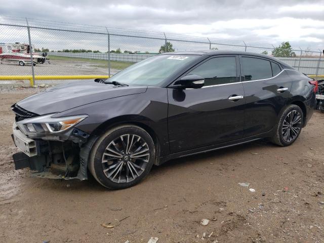 NISSAN MAXIMA 2016 1n4aa6ap2gc378688