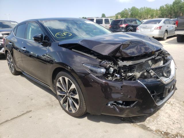 NISSAN MAXIMA 3.5 2016 1n4aa6ap2gc381848