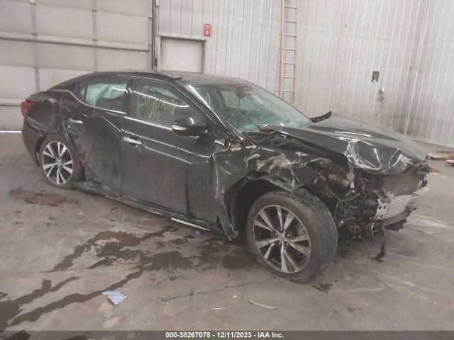 NISSAN MAXIMA 2016 1n4aa6ap2gc431213