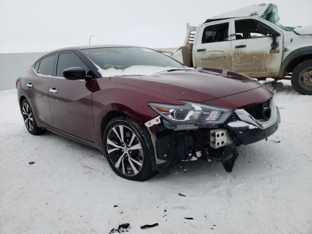 NISSAN MAXIMA 2016 1n4aa6ap2gc442910