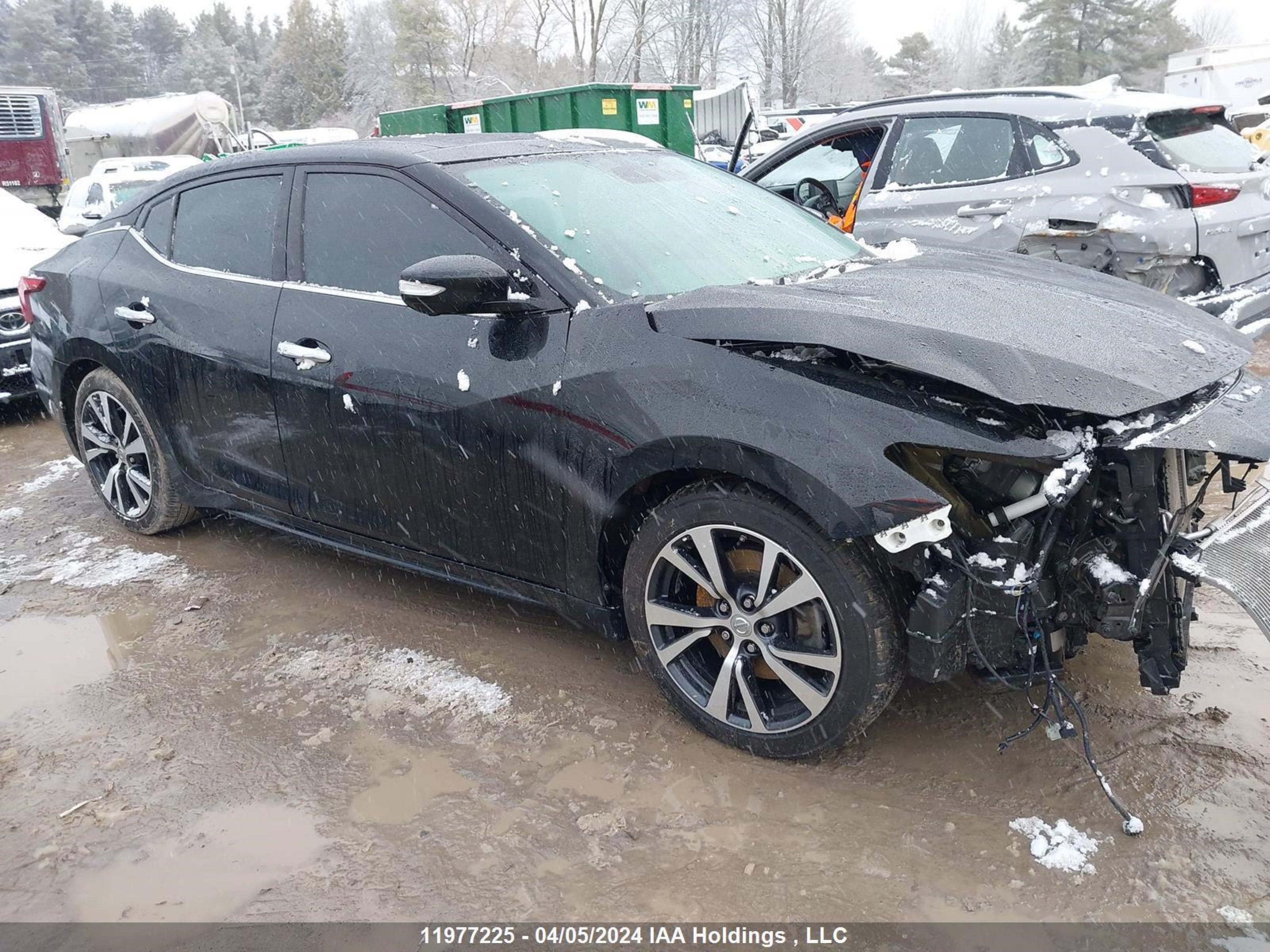 NISSAN MAXIMA 2017 1n4aa6ap2hc400111