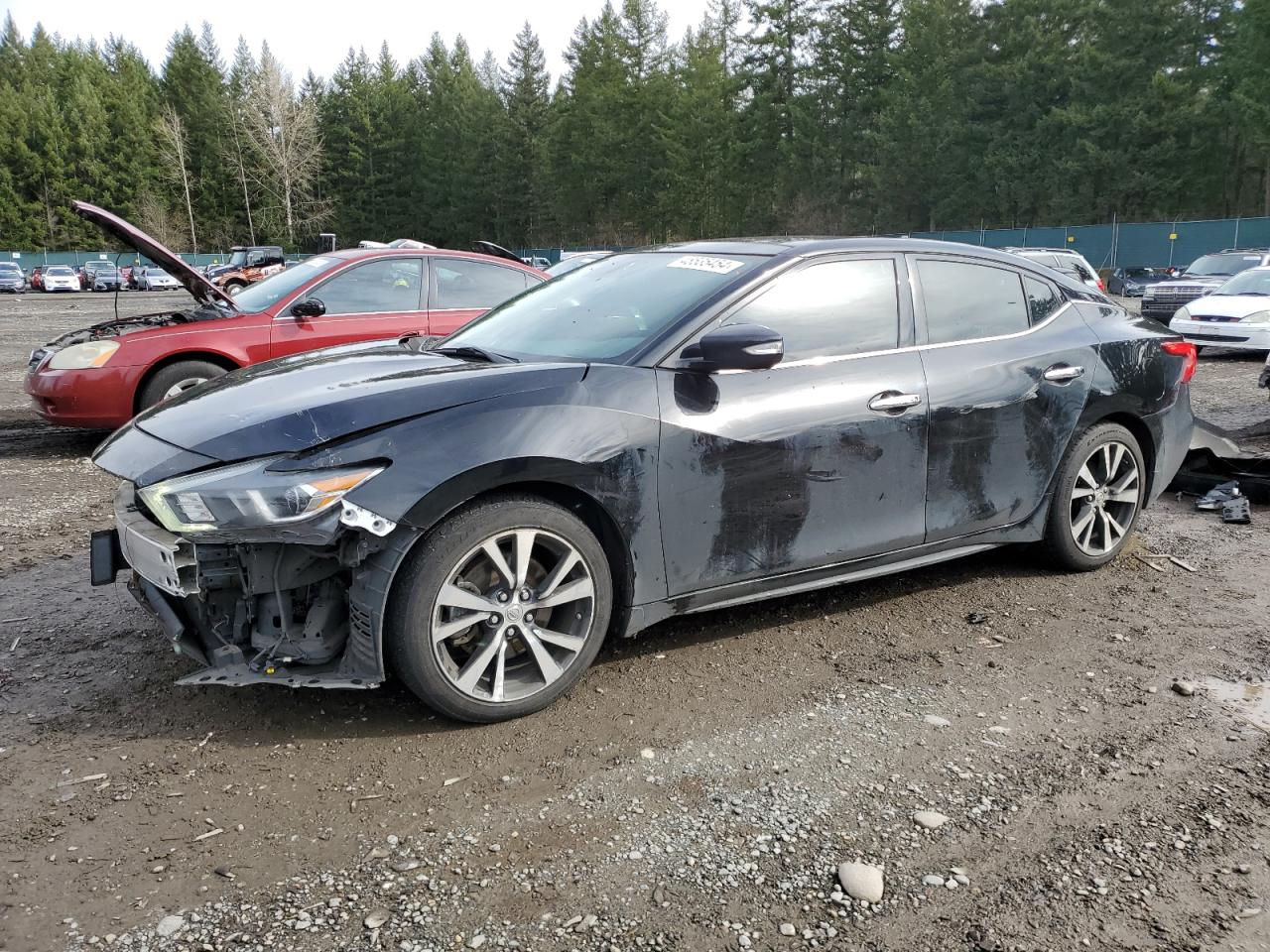 NISSAN MAXIMA 2017 1n4aa6ap2hc436722