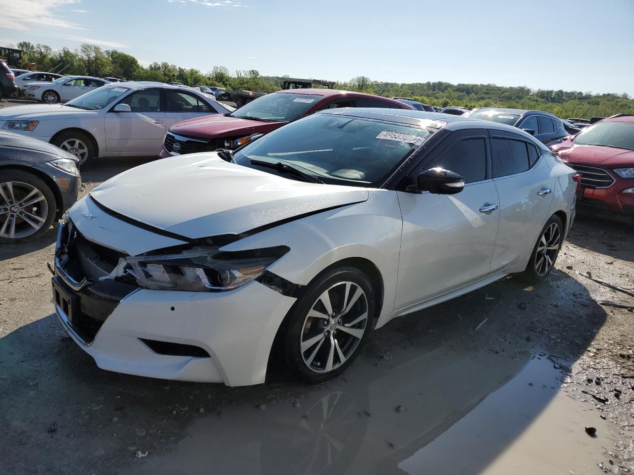 NISSAN MAXIMA 2016 1n4aa6ap4gc393130