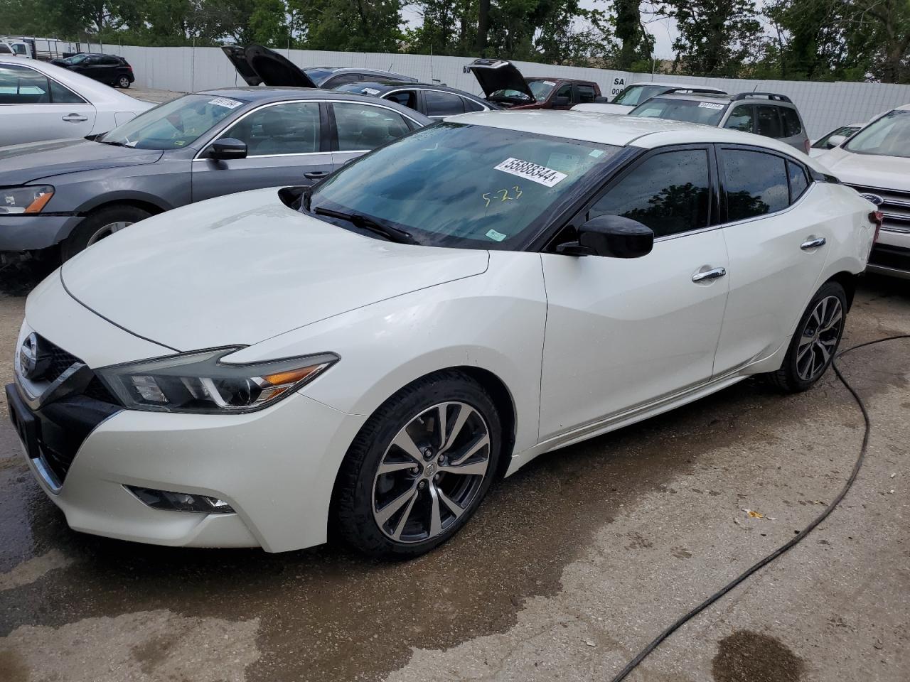 NISSAN MAXIMA 2016 1n4aa6ap4gc429155