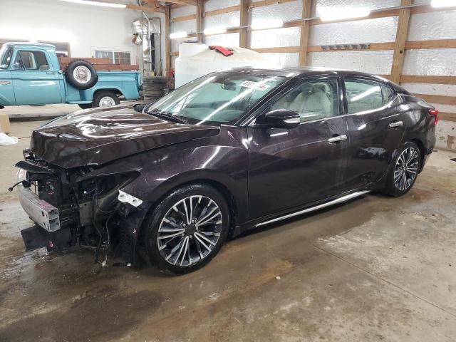 NISSAN MAXIMA 2017 1n4aa6ap4hc435698