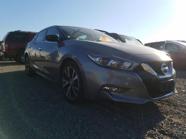 NISSAN MAXIMA 3.5 2016 1n4aa6ap5gc391340