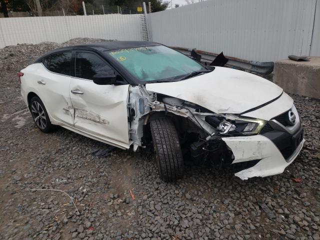 NISSAN MAXIMA 3.5 2017 1n4aa6ap5hc366052