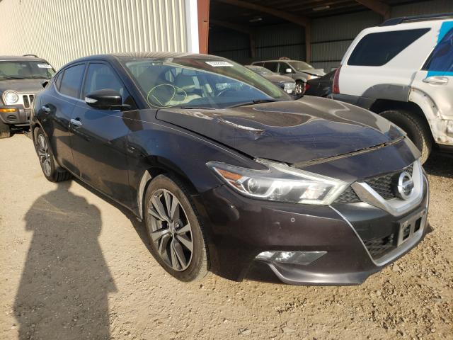 NISSAN MAXIMA 3.5 2017 1n4aa6ap6hc370675