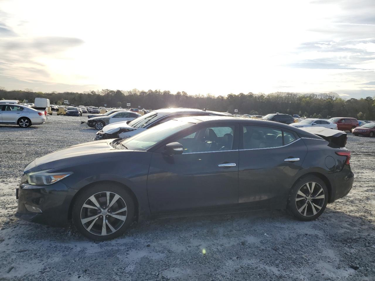 NISSAN MAXIMA 2017 1n4aa6ap6hc385323