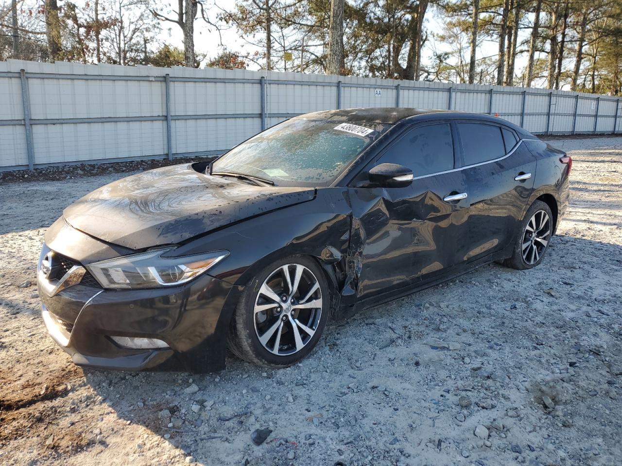 NISSAN MAXIMA 2017 1n4aa6ap6hc428431