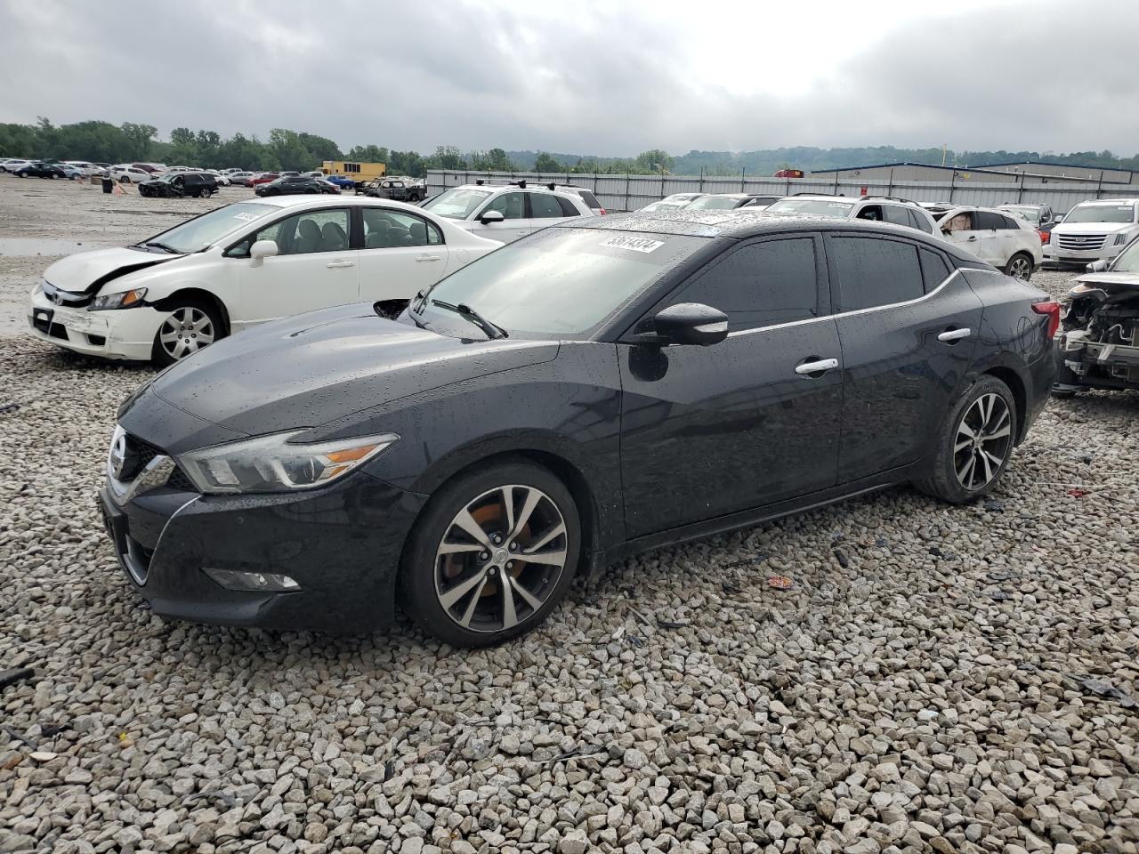 NISSAN MAXIMA 2017 1n4aa6ap6hc450641