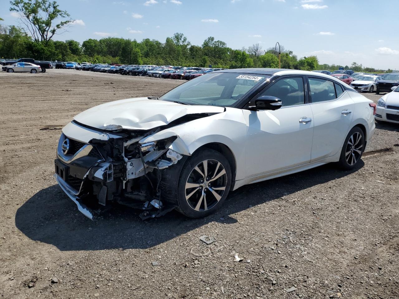 NISSAN MAXIMA 2017 1n4aa6ap6hc453801