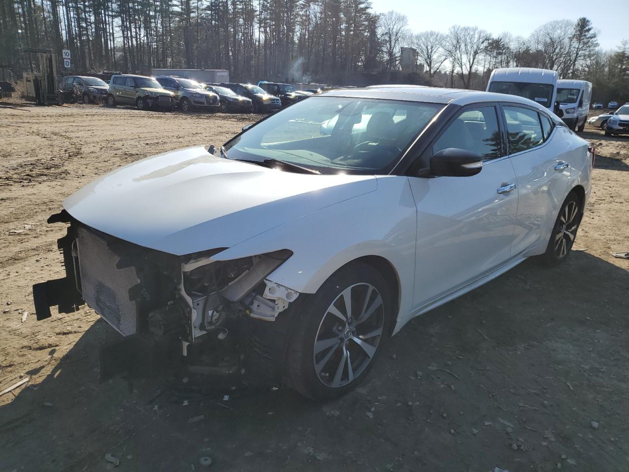 NISSAN MAXIMA 2016 1n4aa6ap7gc436424