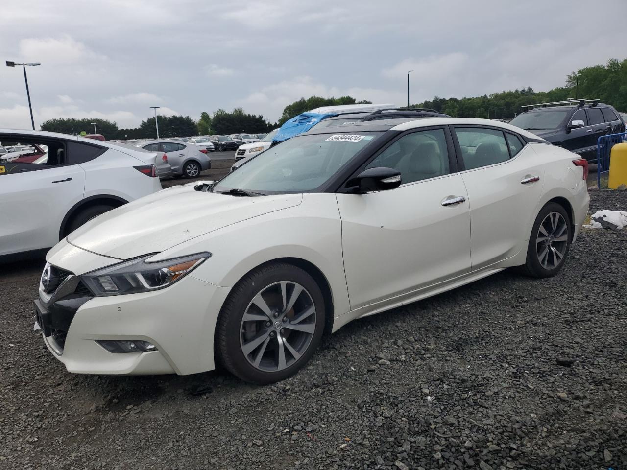 NISSAN MAXIMA 2017 1n4aa6ap7hc363802