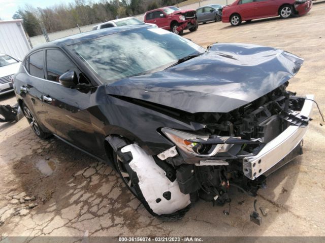 NISSAN MAXIMA 2017 1n4aa6ap7hc365498