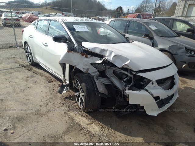 NISSAN MAXIMA 2017 1n4aa6ap7hc453533