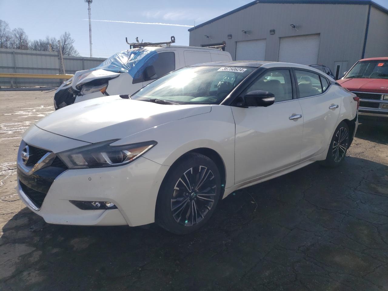 NISSAN MAXIMA 2016 1n4aa6ap8gc422323