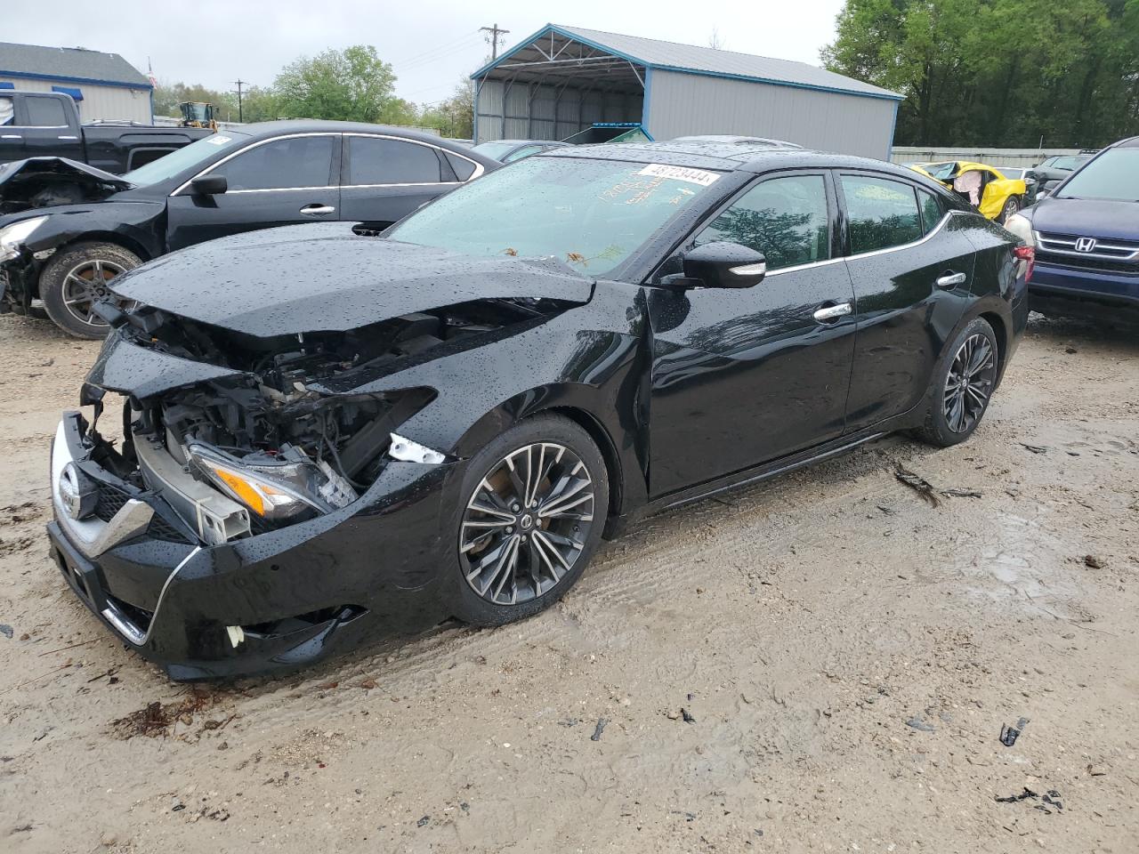 NISSAN MAXIMA 2016 1n4aa6ap8gc448288