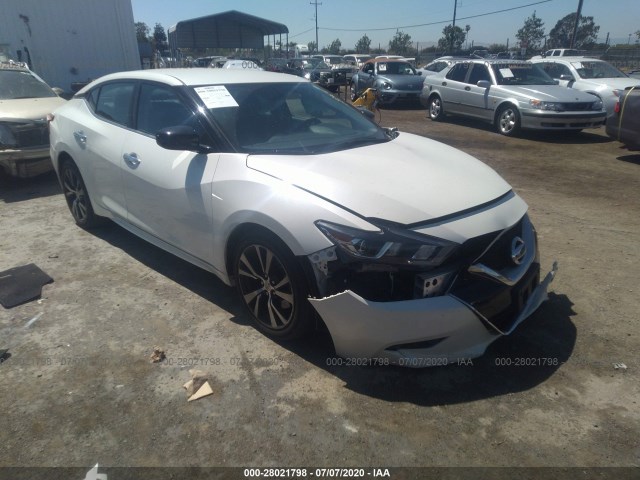 NISSAN MAXIMA 2017 1n4aa6ap8hc360259