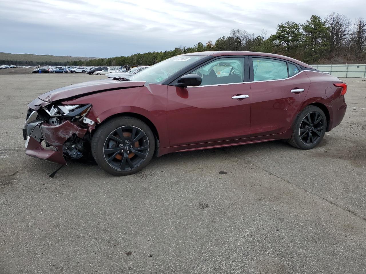 NISSAN MAXIMA 2017 1n4aa6ap8hc432934