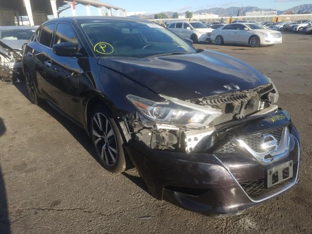 NISSAN MAXIMA 3.5 2016 1n4aa6ap9gc389011