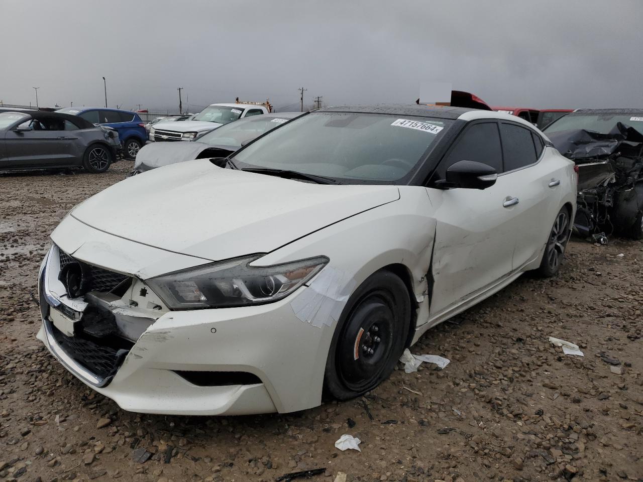 NISSAN MAXIMA 2016 1n4aa6ap9gc445416