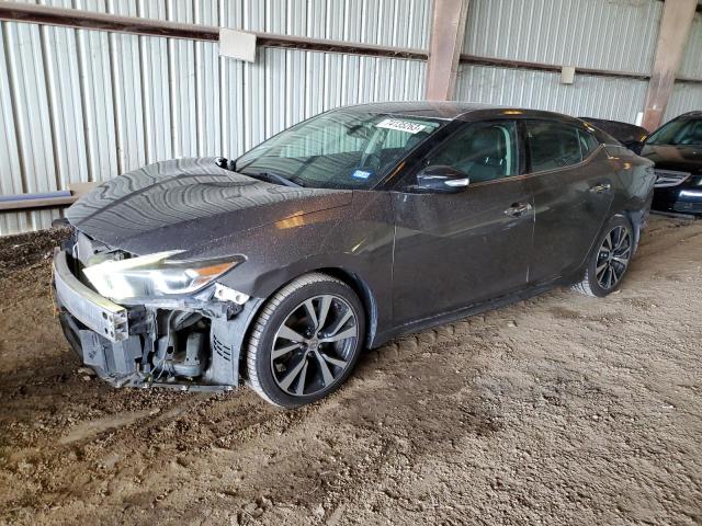 NISSAN MAXIMA 2017 1n4aa6ap9hc443893