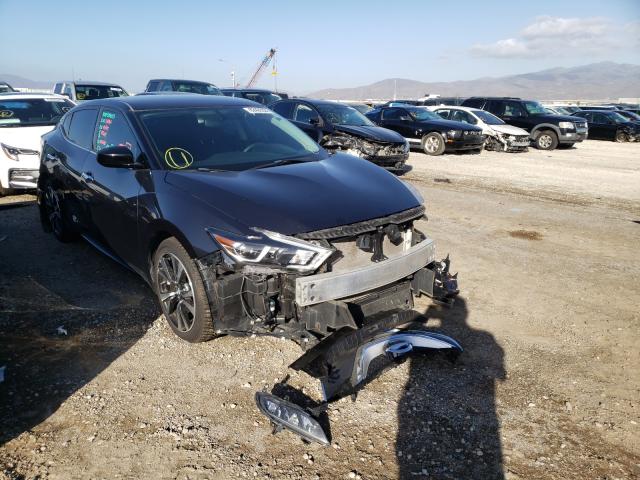 NISSAN MAXIMA 3.5 2016 1n4aa6apxgc393245