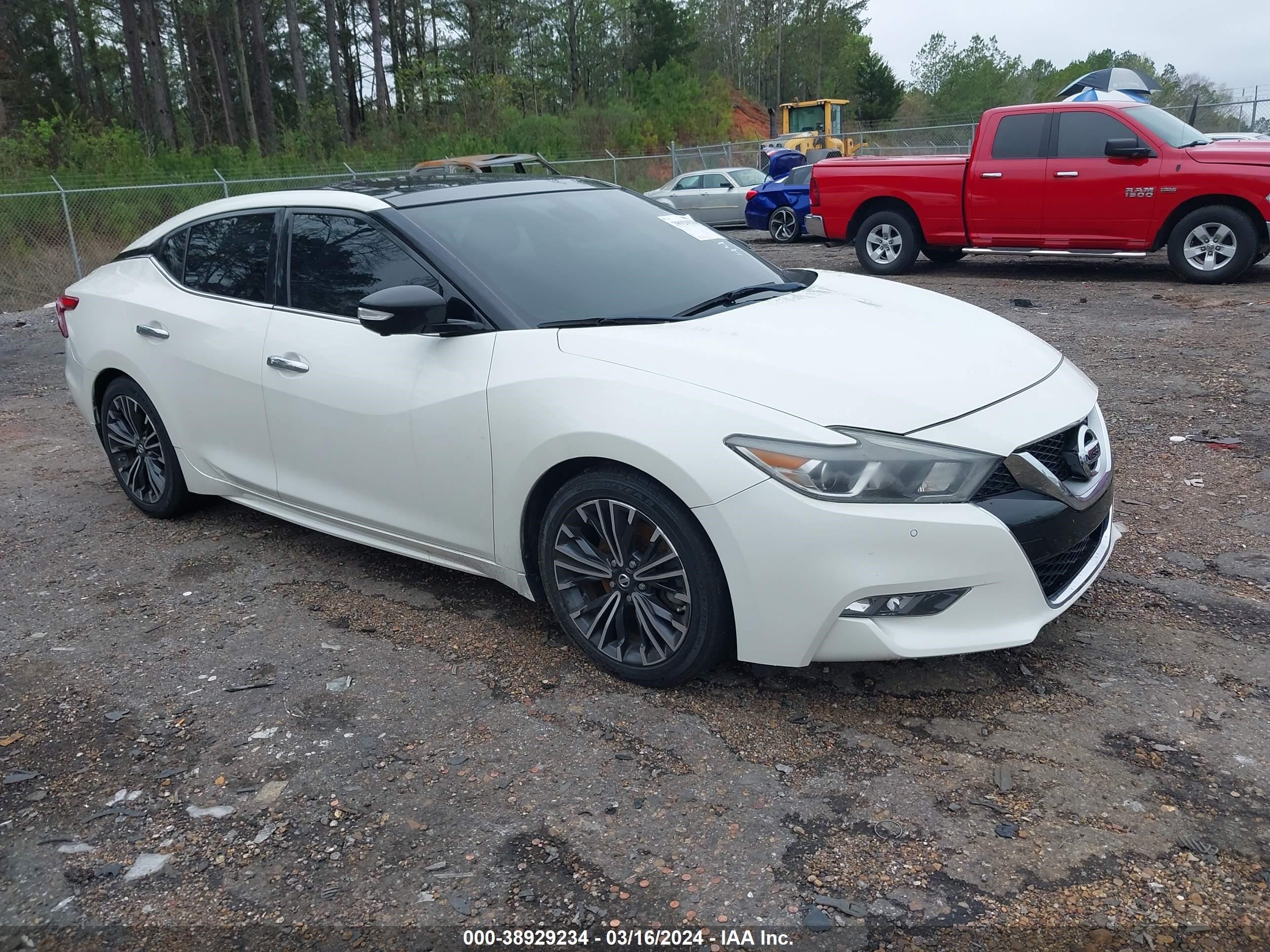 NISSAN MAXIMA 2016 1n4aa6apxgc447577