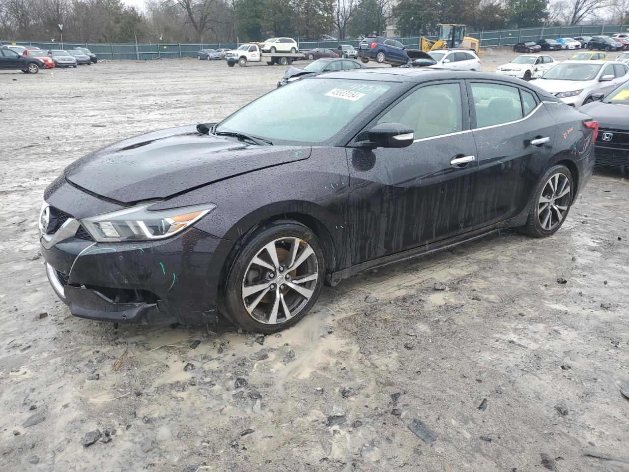 NISSAN MAXIMA 2017 1n4aa6apxhc374759