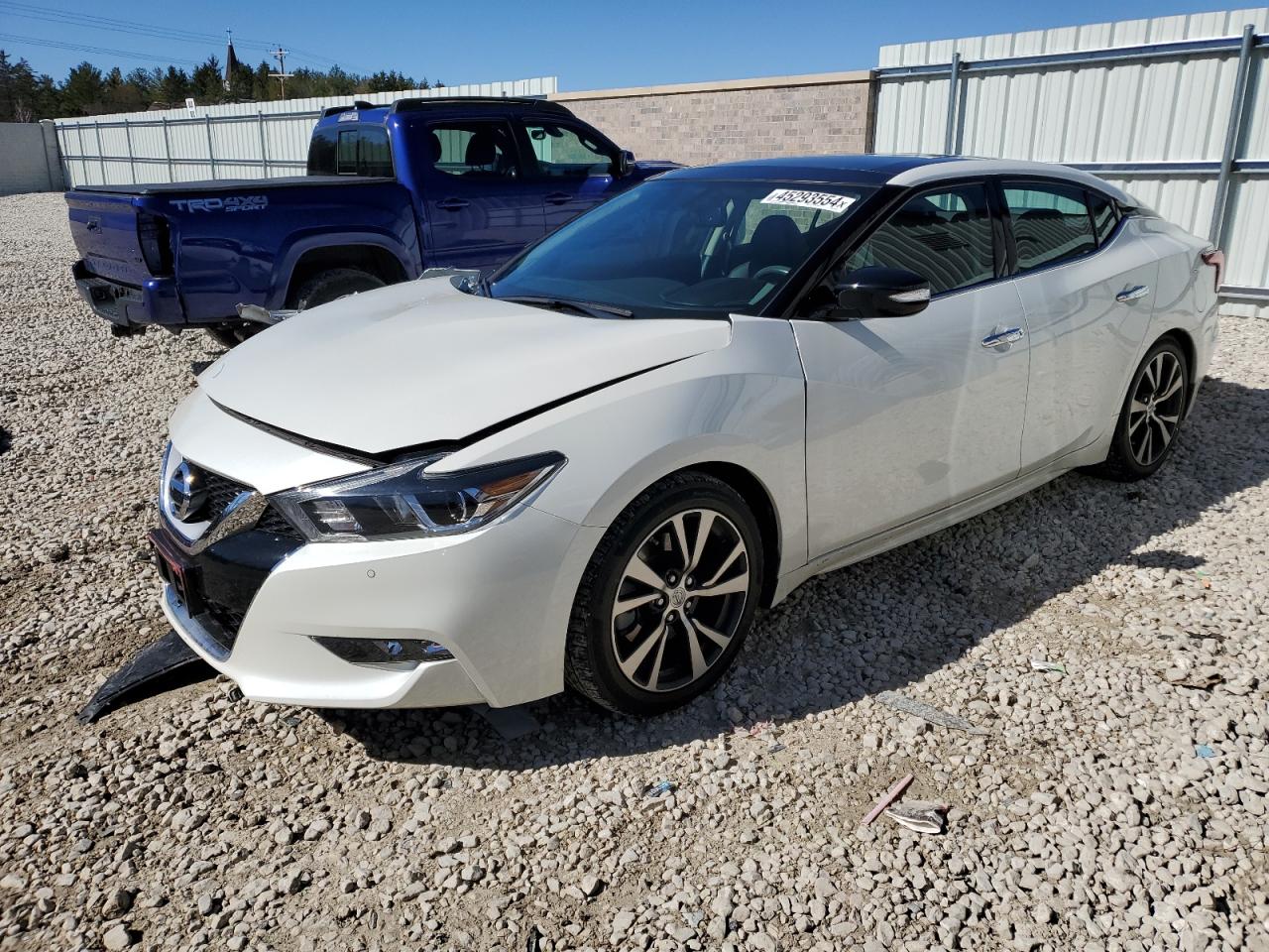 NISSAN MAXIMA 2017 1n4aa6apxhc379315