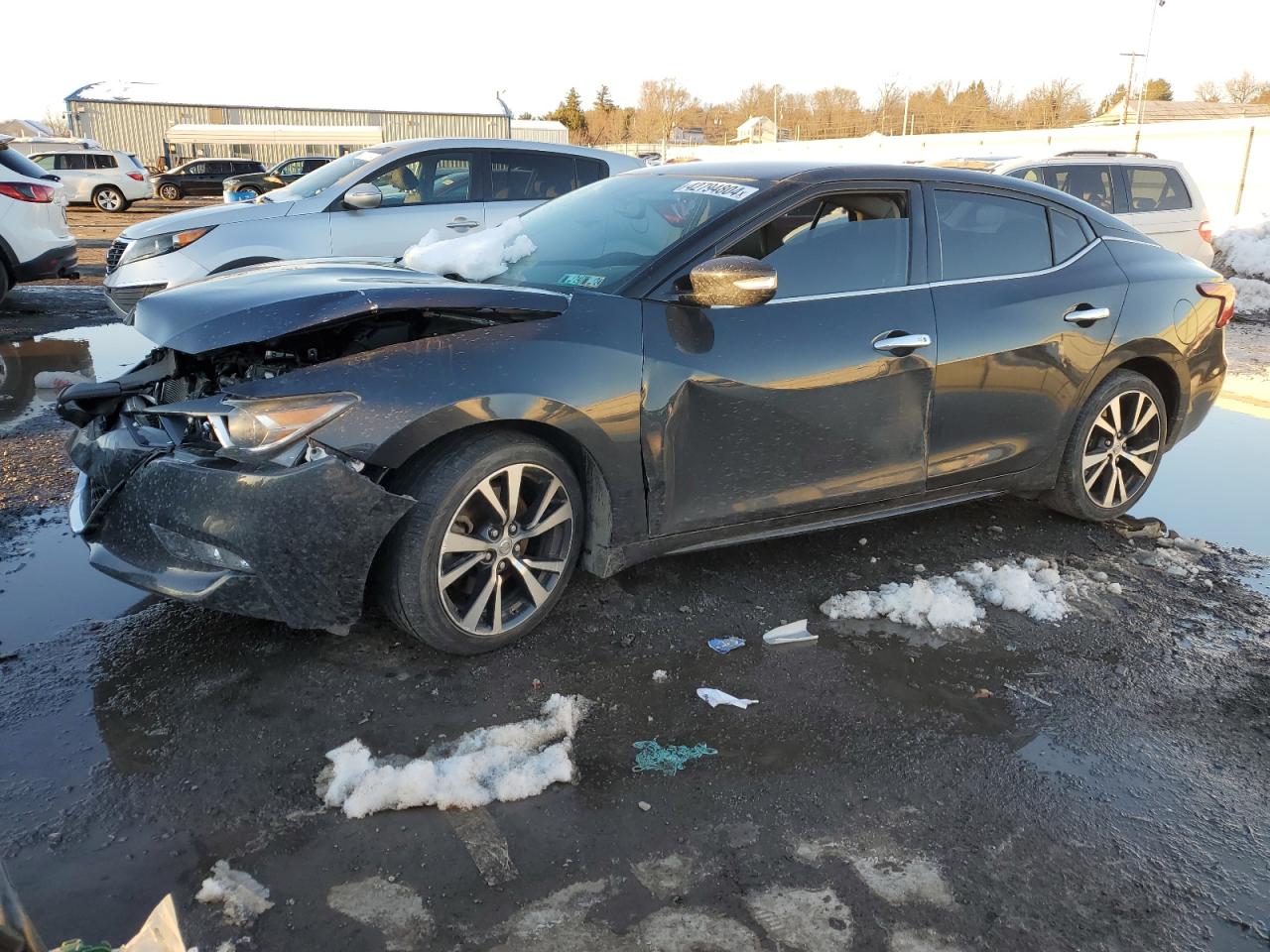 NISSAN MAXIMA 2017 1n4aa6apxhc408229