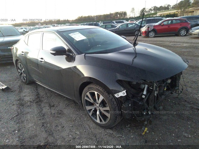 NISSAN MAXIMA 2017 1n4aa6apxhc416329