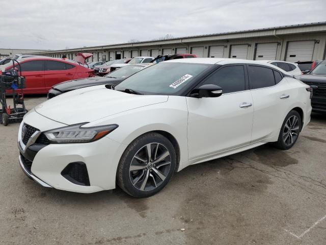 NISSAN MAXIMA 2019 1n4aa6av3kc373216