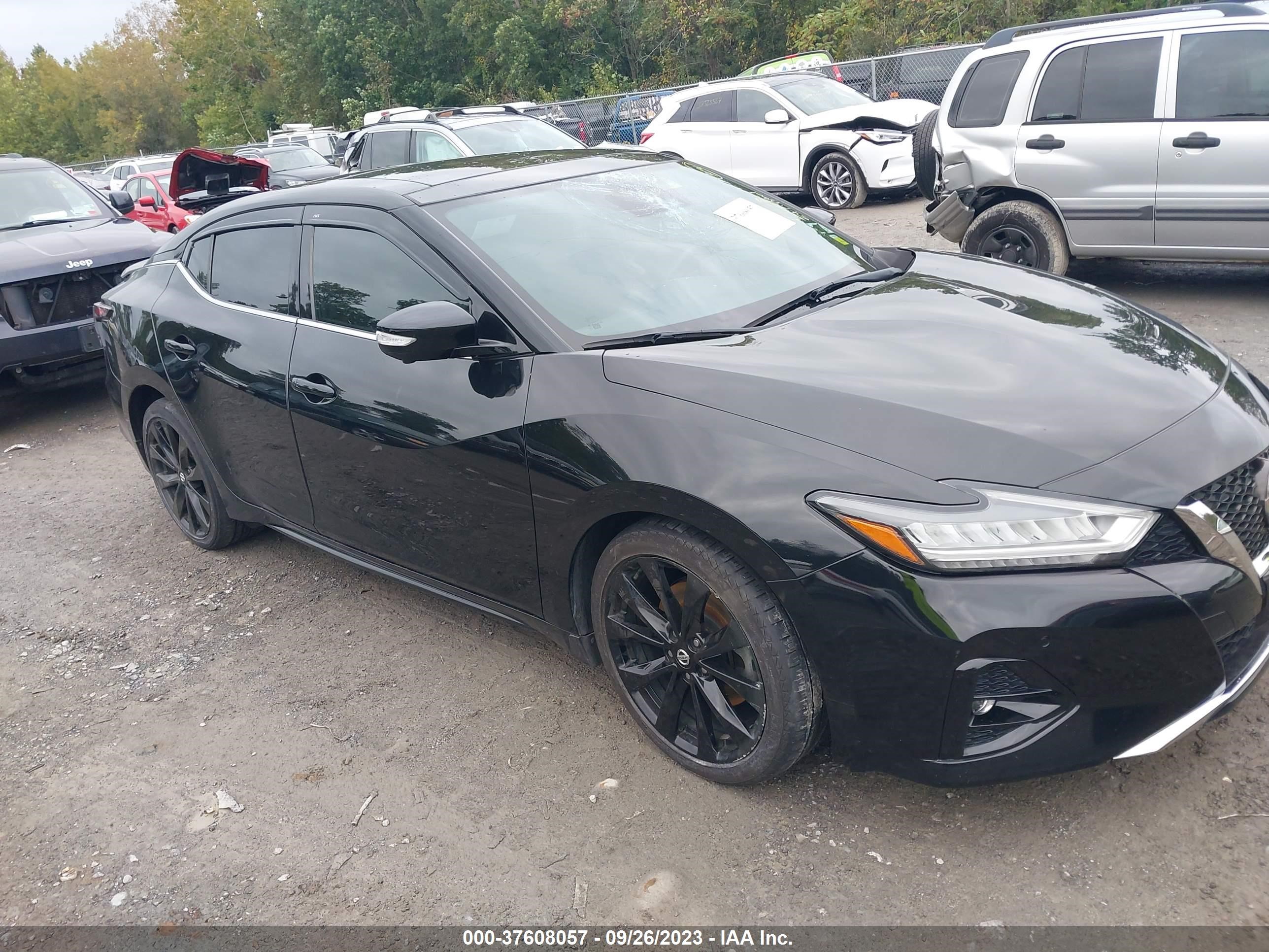 NISSAN MAXIMA 2019 1n4aa6av3kc375242