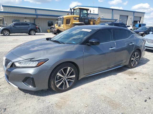 NISSAN MAXIMA 2019 1n4aa6av3kc380926